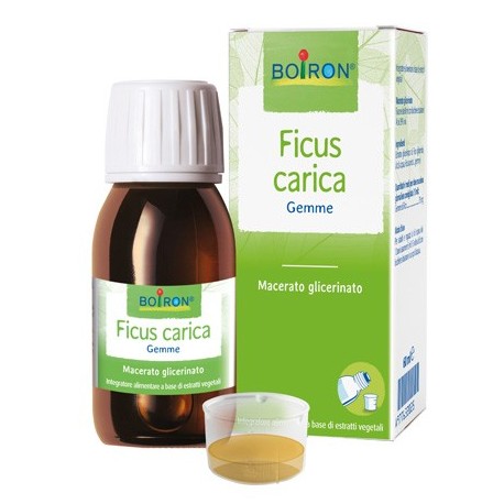 Ficus Carica Boi Mg 60ml Int