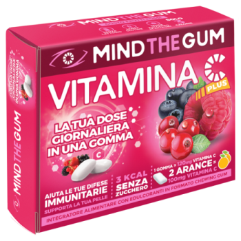 Mind The Gum Vit C Frut Ro 18g