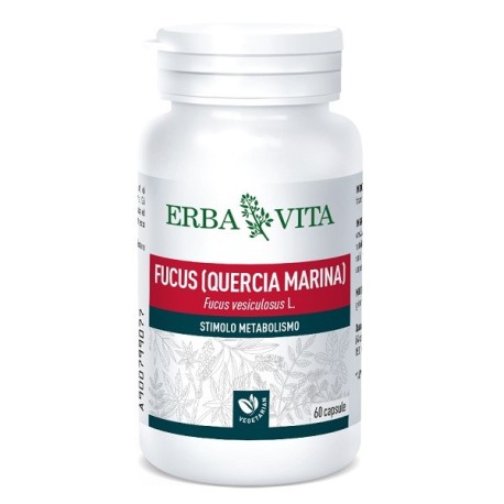 Fucus 60cps 500mg