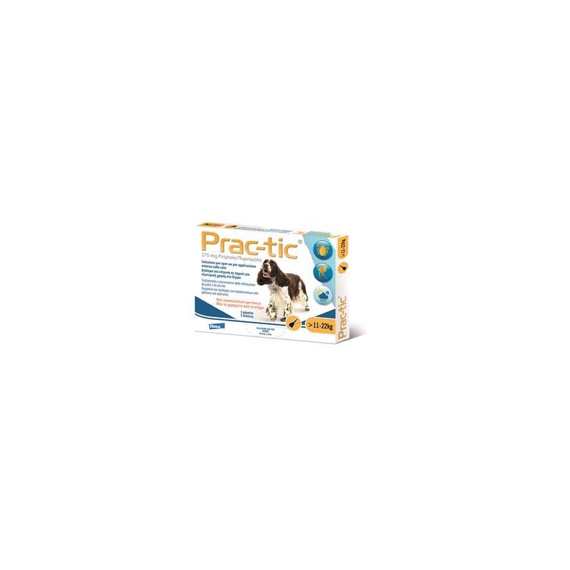 Practic*gi 3pip 11-22kg Cani