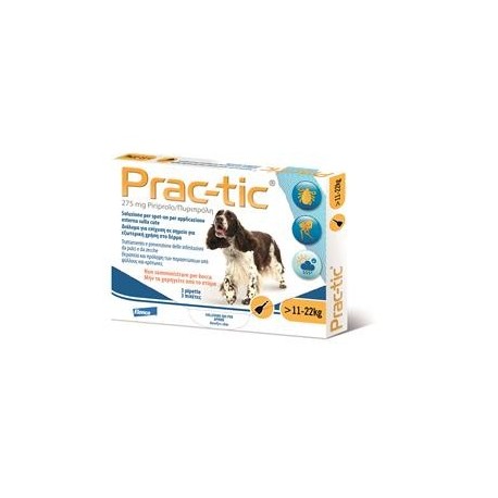 Practic*gi 3pip 11-22kg Cani