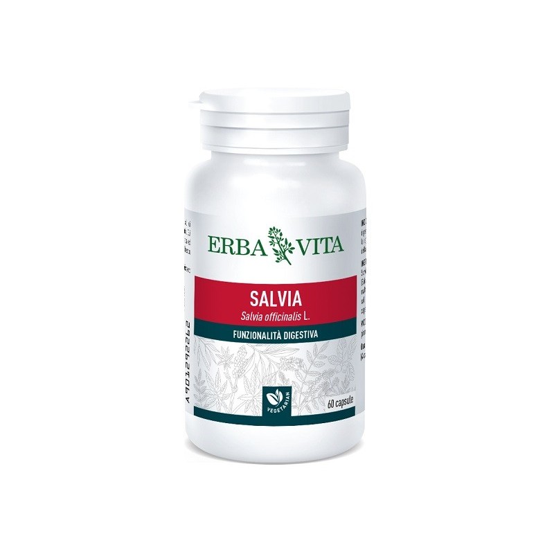 Salvia 60cps