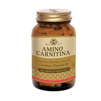Amino Carnitina 30cps