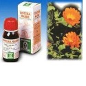 Calendula Off 5 50ml Tm