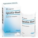 Ignatia 50tav Heel