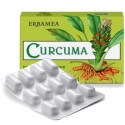 Curcuma 24cps Veg