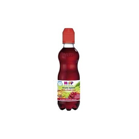 Hipp Bio Fru Spl Frut Ro 300ml