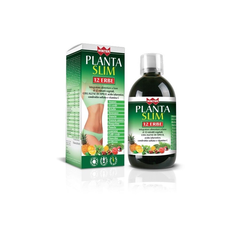 Winter Planta Slim 12erbe500ml