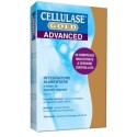 Cellulase Gold Advance 40cpr