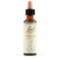 Chicory Bach Orig 20ml