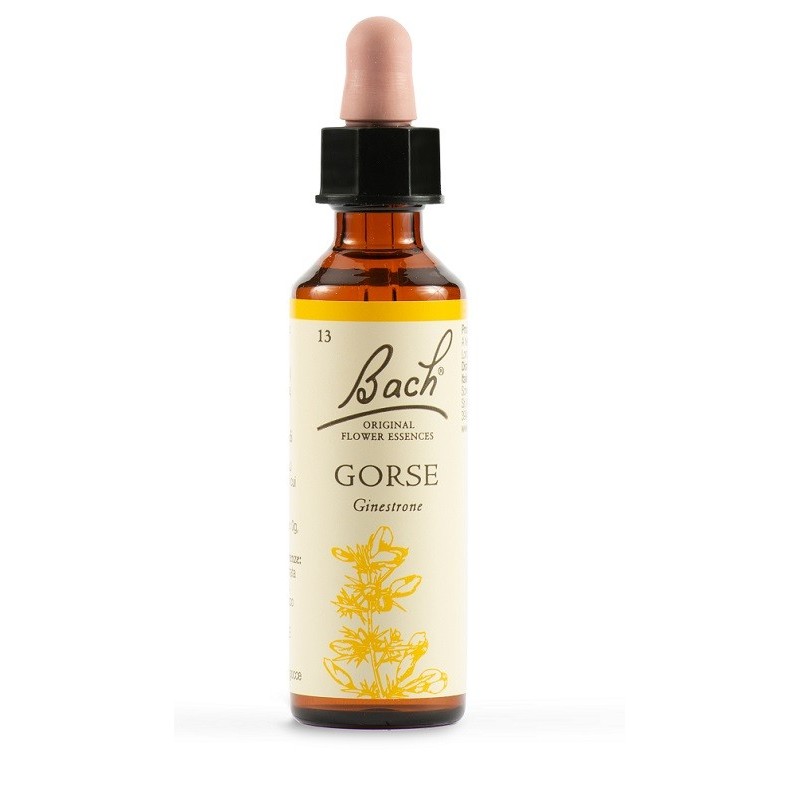 Gorse Bach Orig 20ml