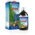 Winter Planta Slim Depuraty